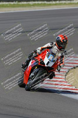 media/Mar-17-2024-Fastrack Riders (Sun) [[c7d6f8c14c]]/Level 2/Turn 5/